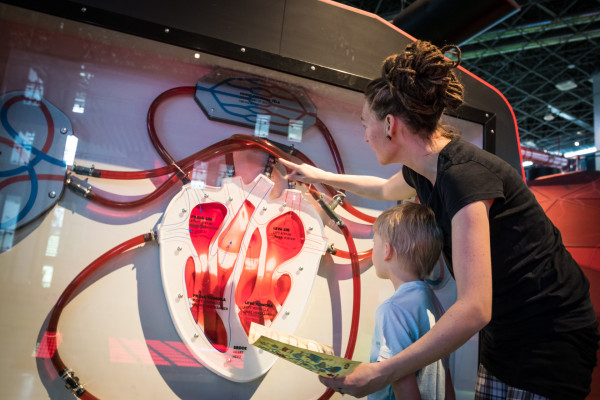 Zkusíte vyluštit šifrovací hru přímo v expozici. Zkusíte vyluštit šifrovací hru přímo v expozici.