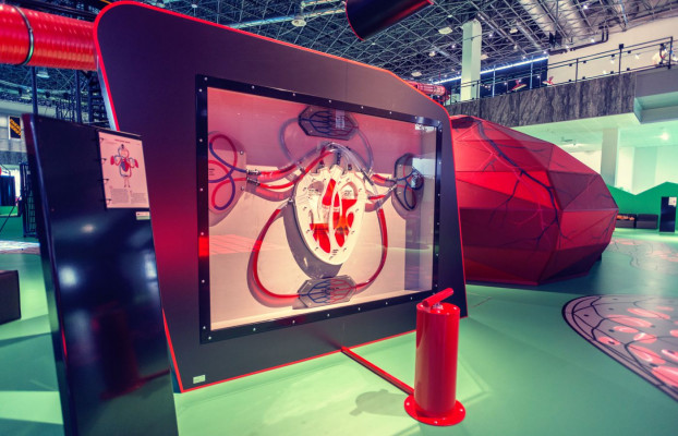 Podíváte se do nitra obrovského srdce a ozvučíte ho vlastním tepem. Podíváte se do nitra obrovského srdce a ozvučíte ho vlastním tepem.