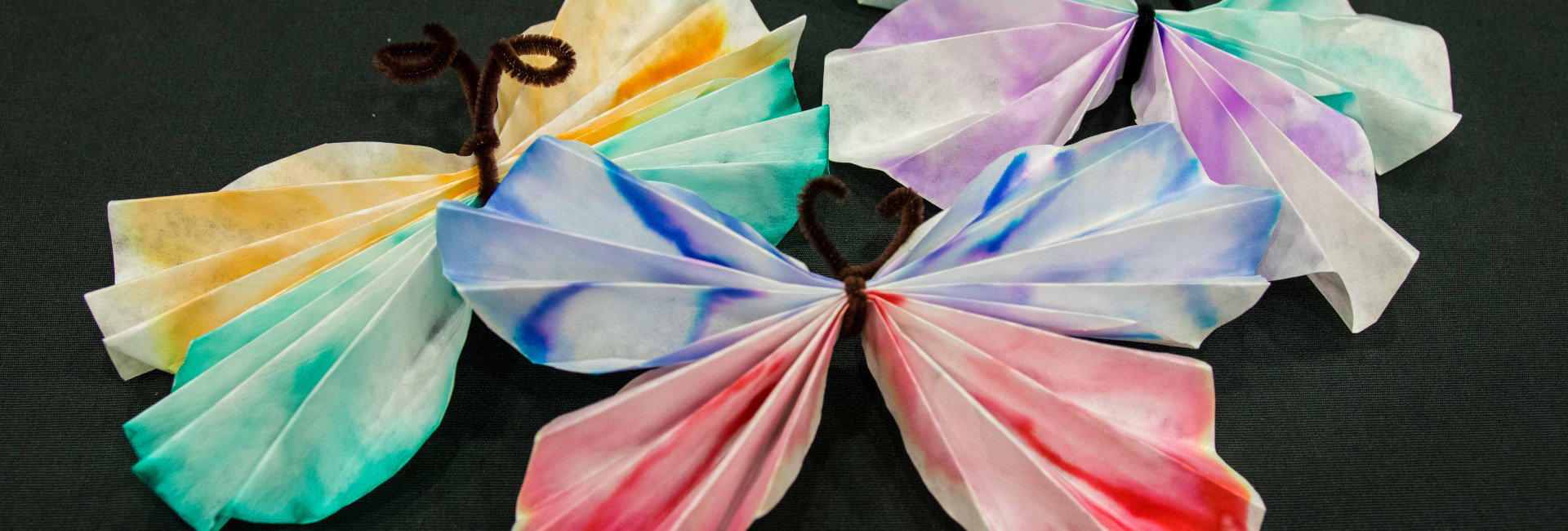 Chromatografie – barevné květy a motýlci
